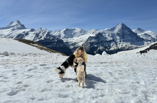 Travelling to Europe With Your Dog: A Stress Free Guide