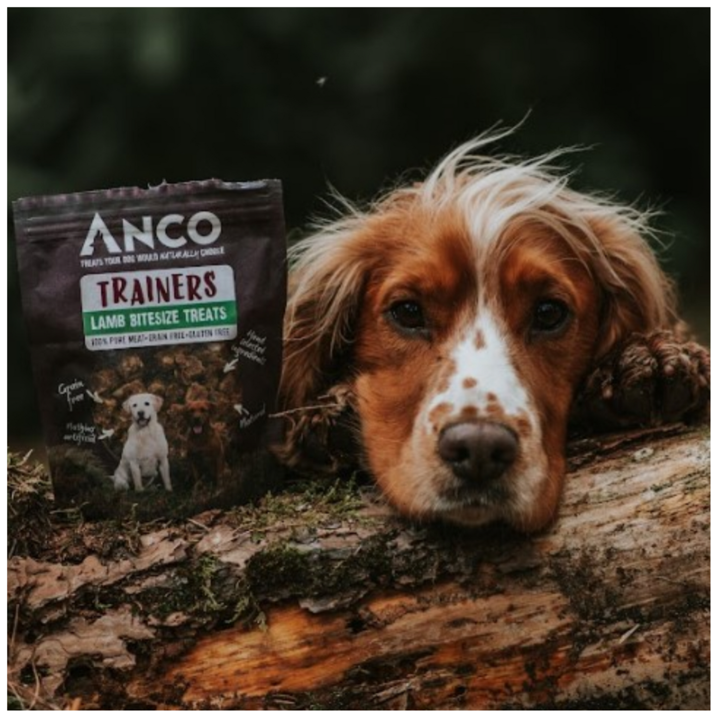 Anco Pure Training Treats