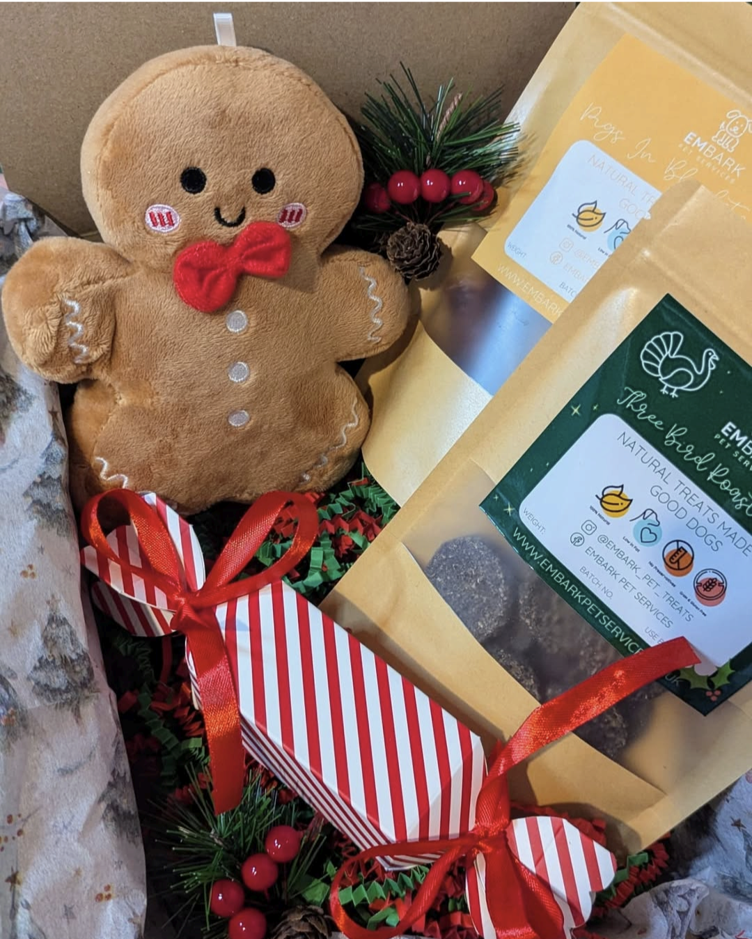 Christmas Eve Box For Dogs
