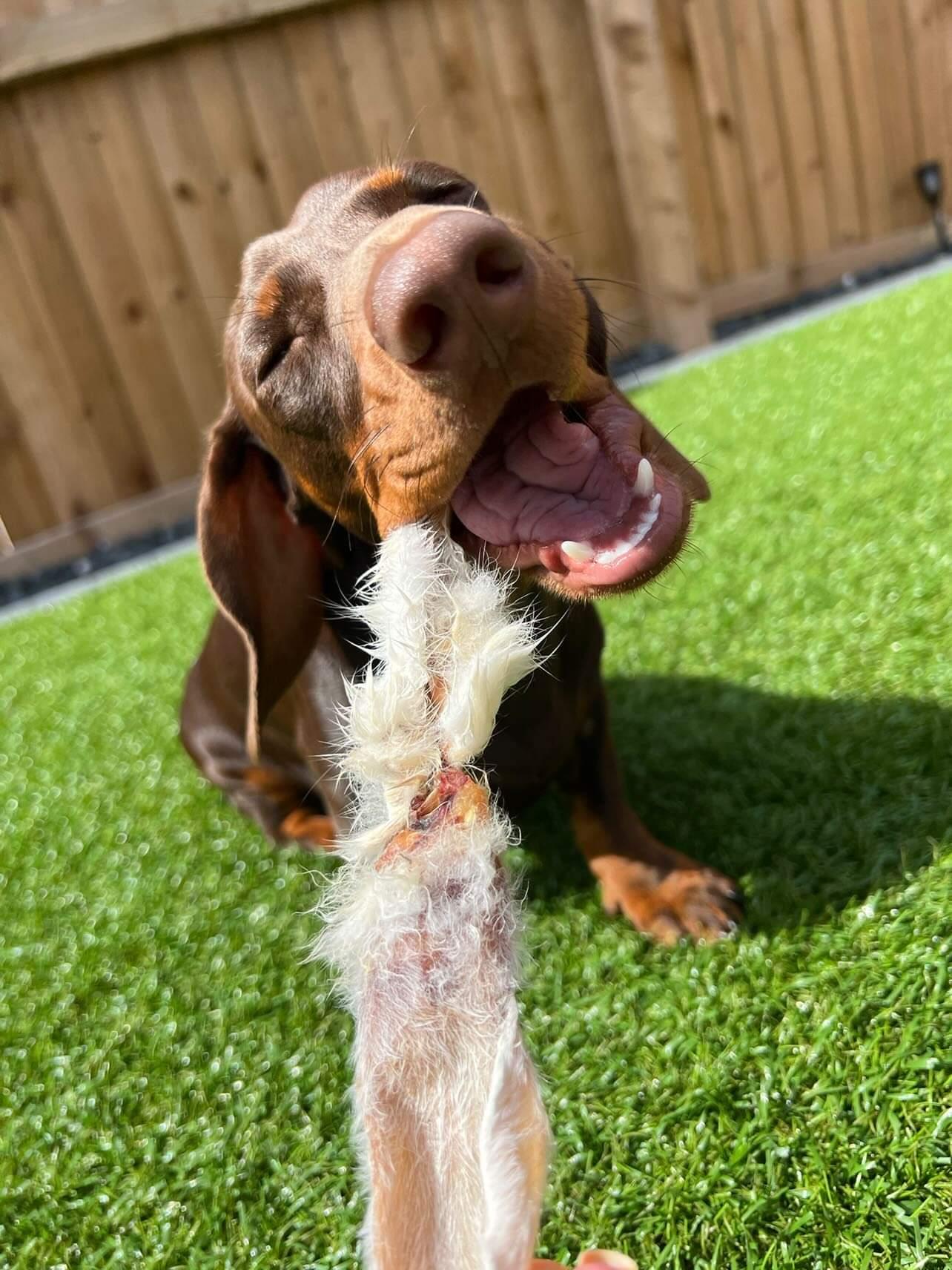 Natural Deworming Pack