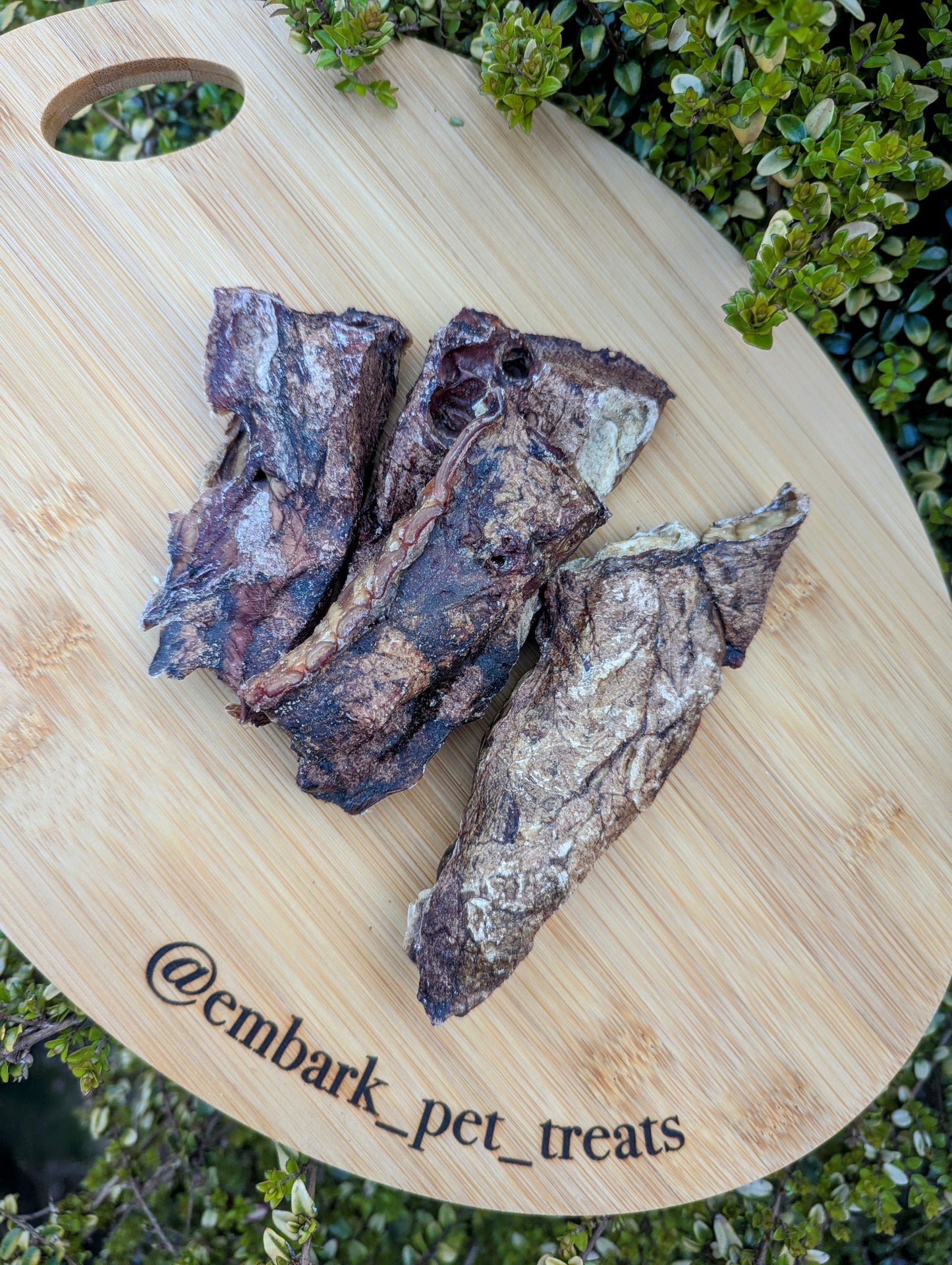 Lamb Lung