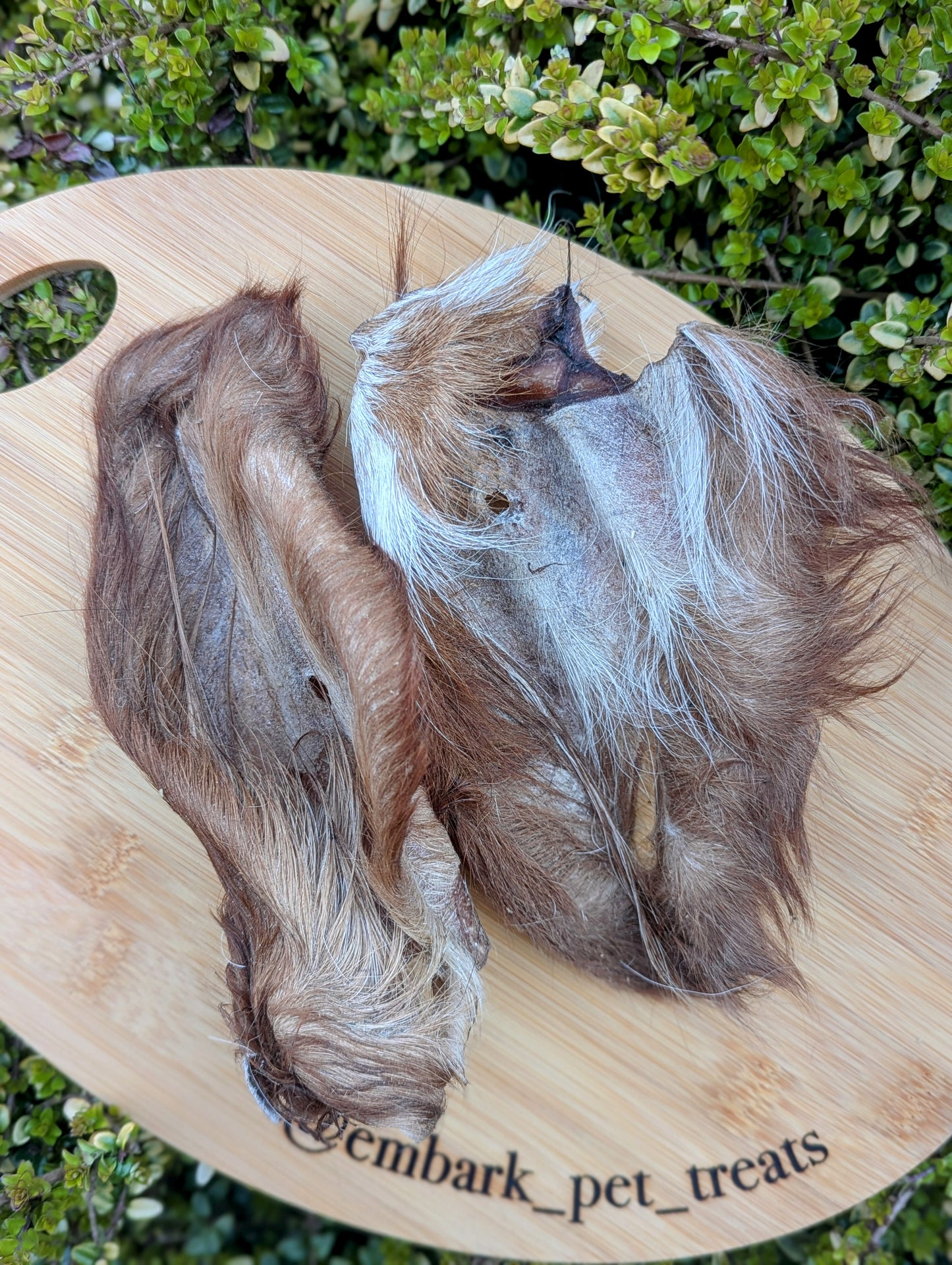 Hairy Cow Ears