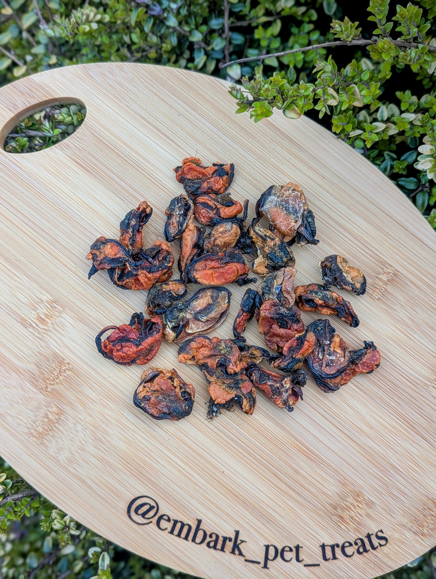 Dehydrated Green Lipped Mussels