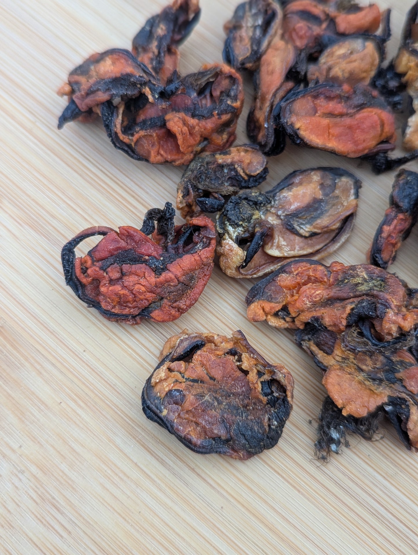 Dehydrated Green Lipped Mussels