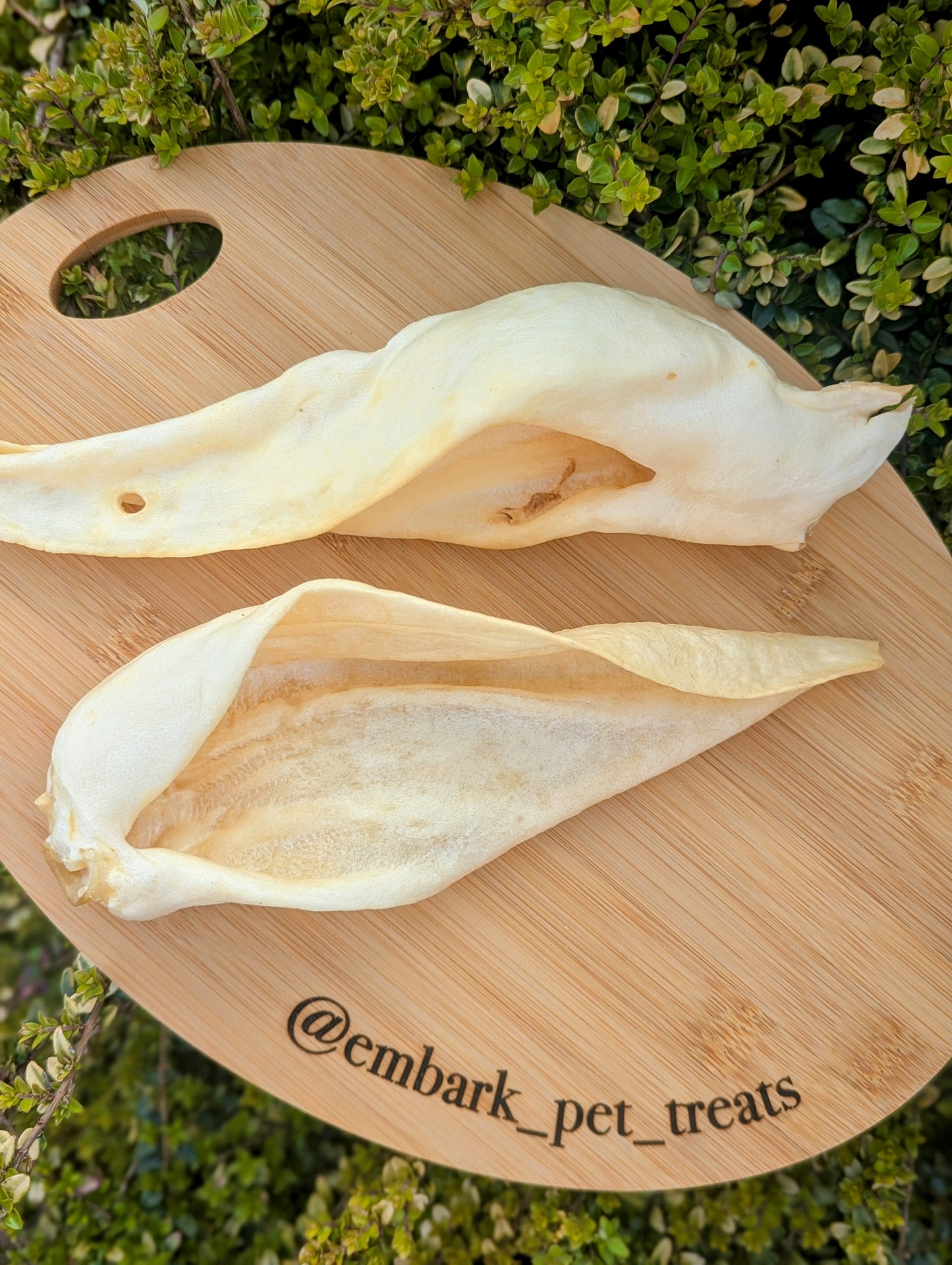 Goat Ears