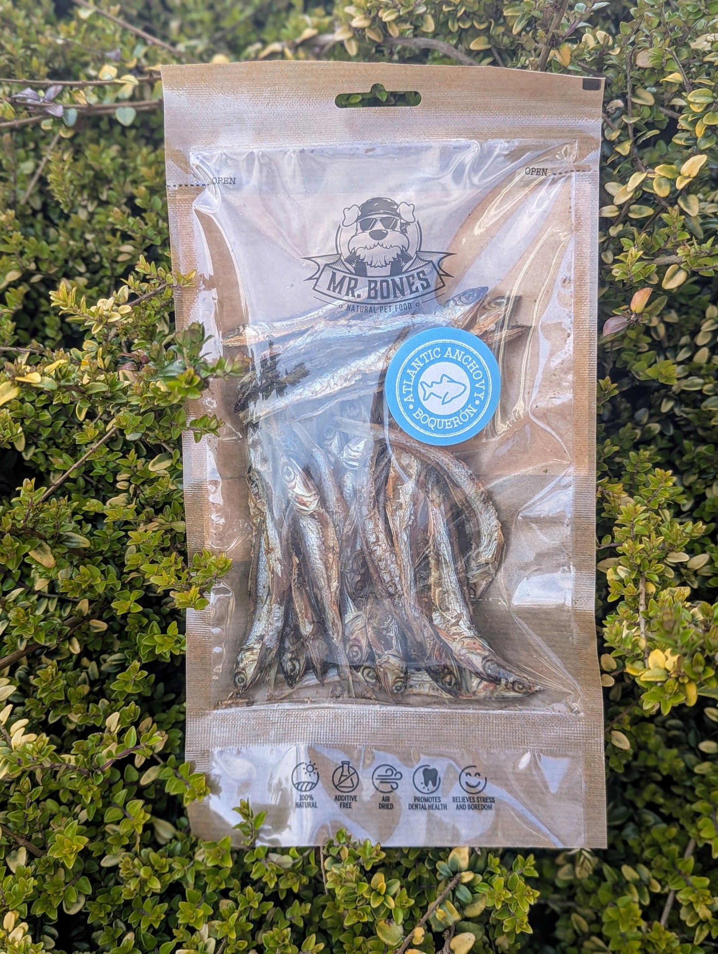 Taste The Ocean - Fishy Dog Treats Bundle