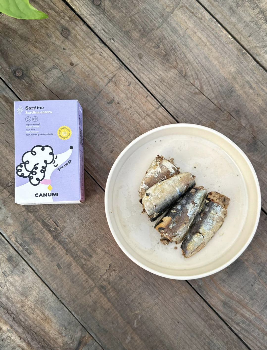 Canumi Atlantic Sardines