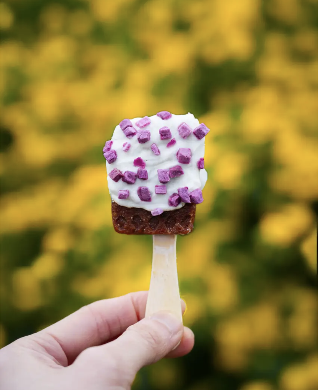 Freeze Dried Purple Sweet Potato