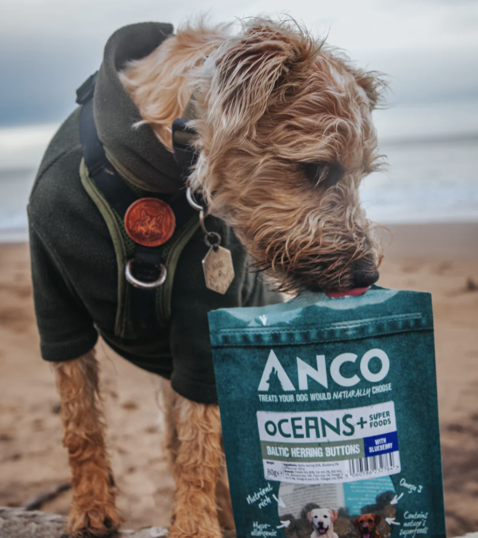 Anco Baltic Herring and Blueberry Buttons