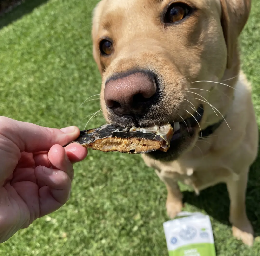 Crocodile Chips