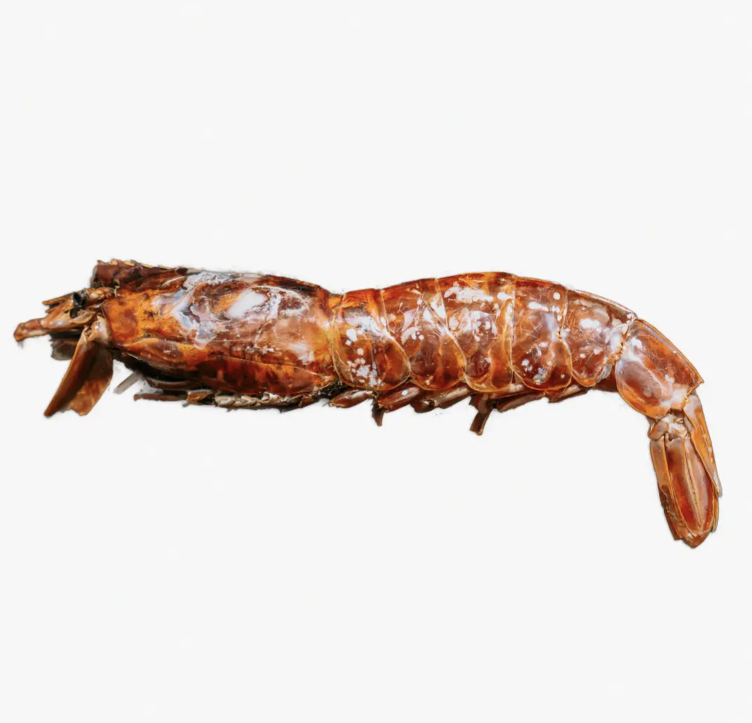 Argentine Red Shrimp | Natural Seafood Dog Treats