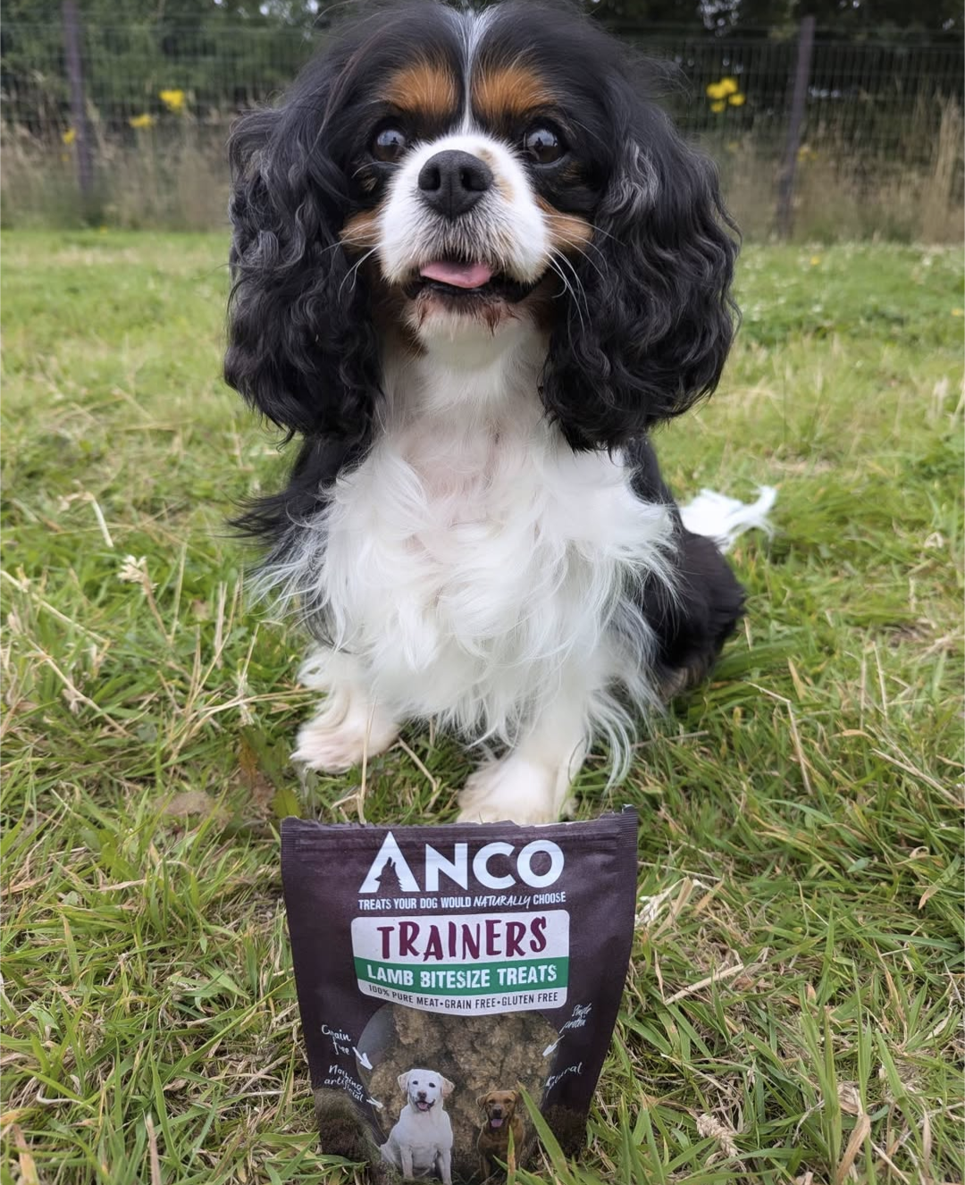 Anco Pure Training Treats