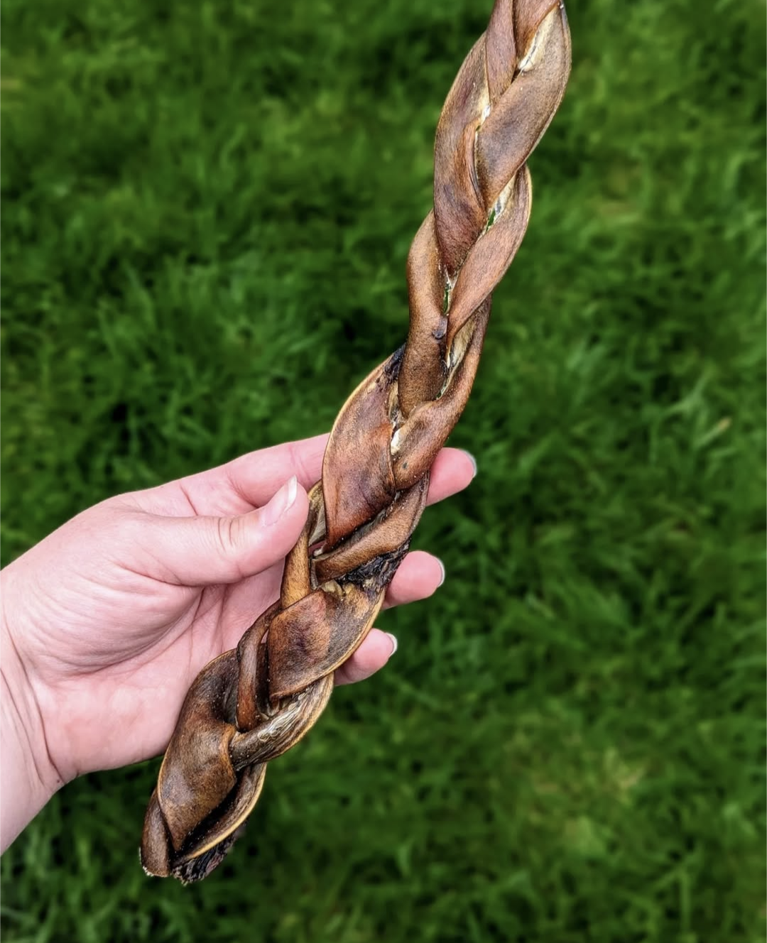 Camel Braid