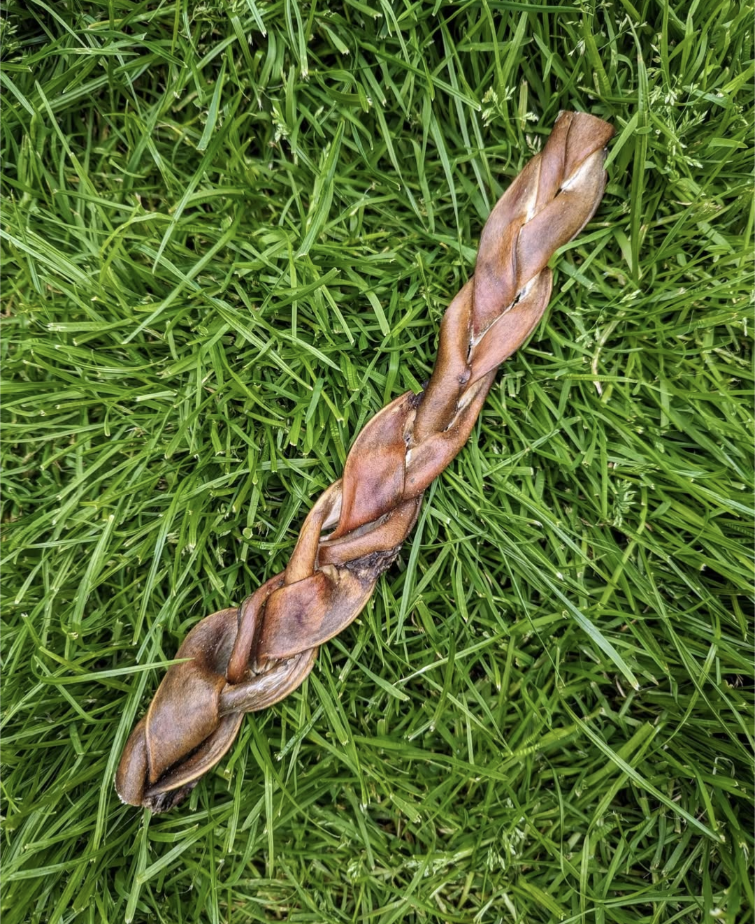 Camel Braid