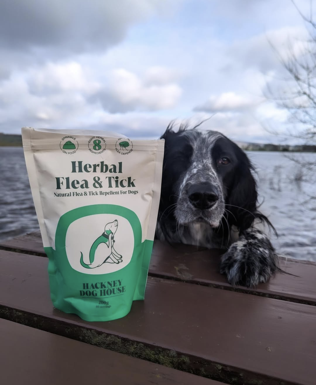 Herbal Flea & Tick Repellent