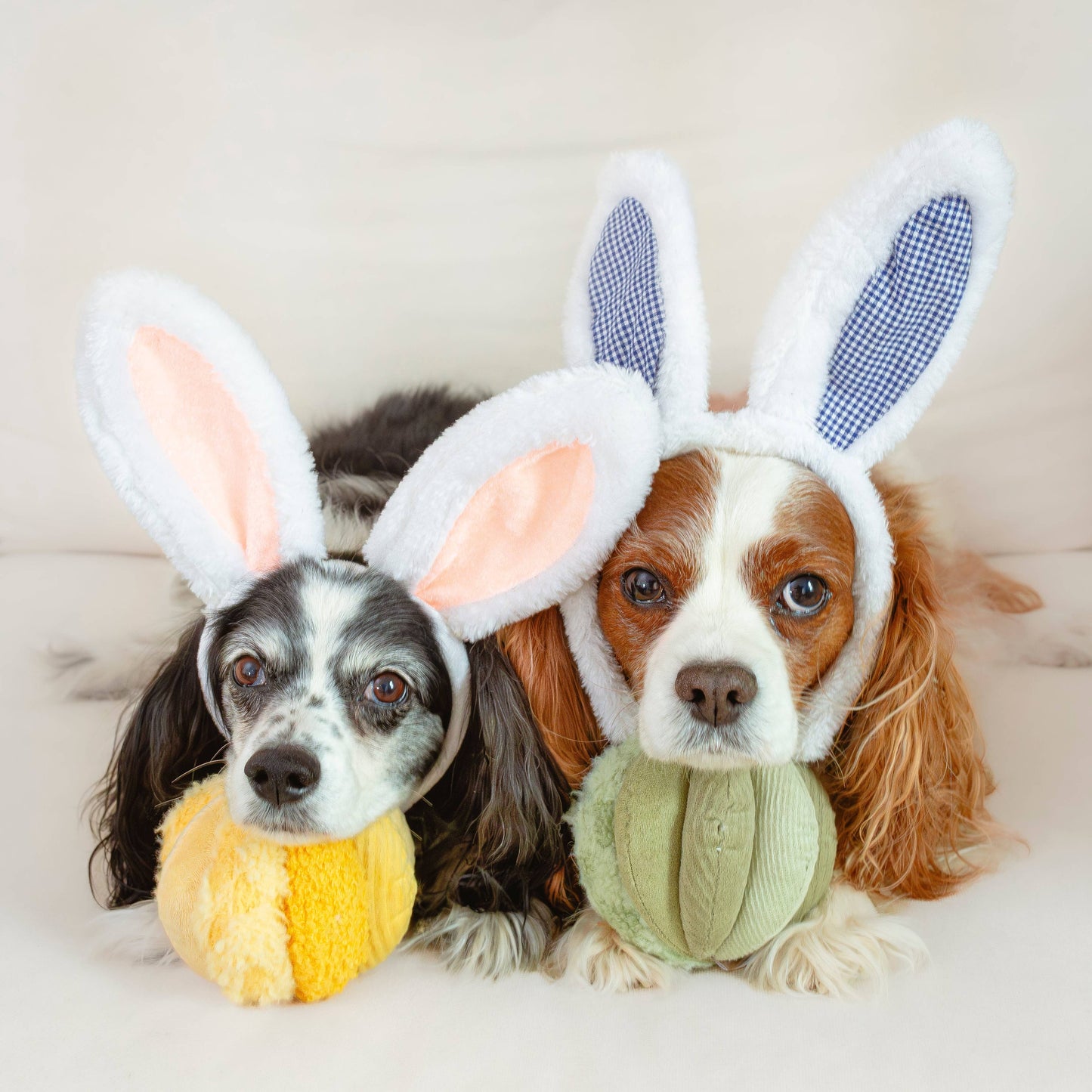 Lambwolf Toto Enrichment Dog Toy | Silent Snuffle Ball