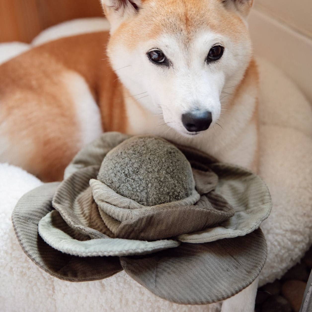 Lambwolf Cabbage Pop Enrichment Dog Toy | Squeaky + Snuffle Ball