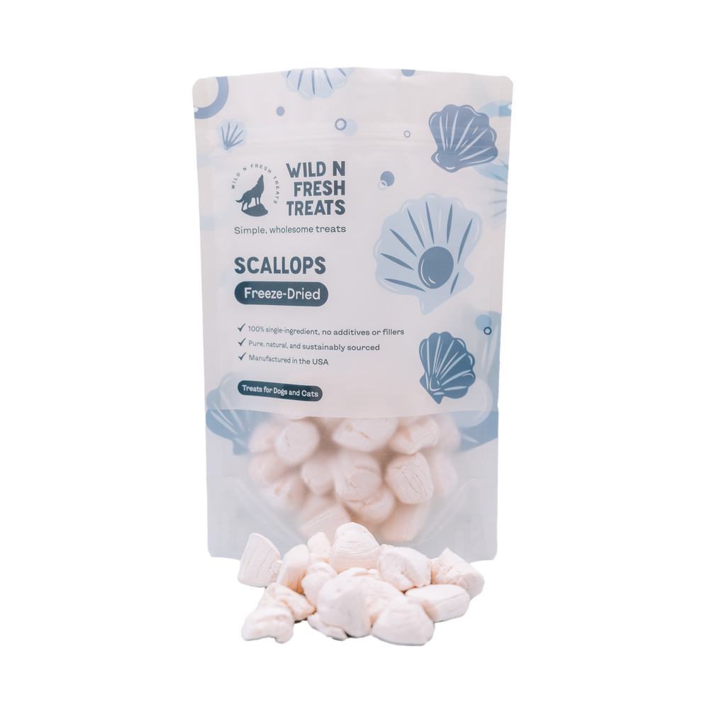 Freeze Dried Scallops