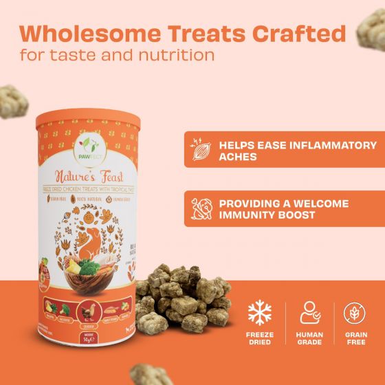 Nature's Feast Freeze Dried Chicken & Tropical Dog Treats