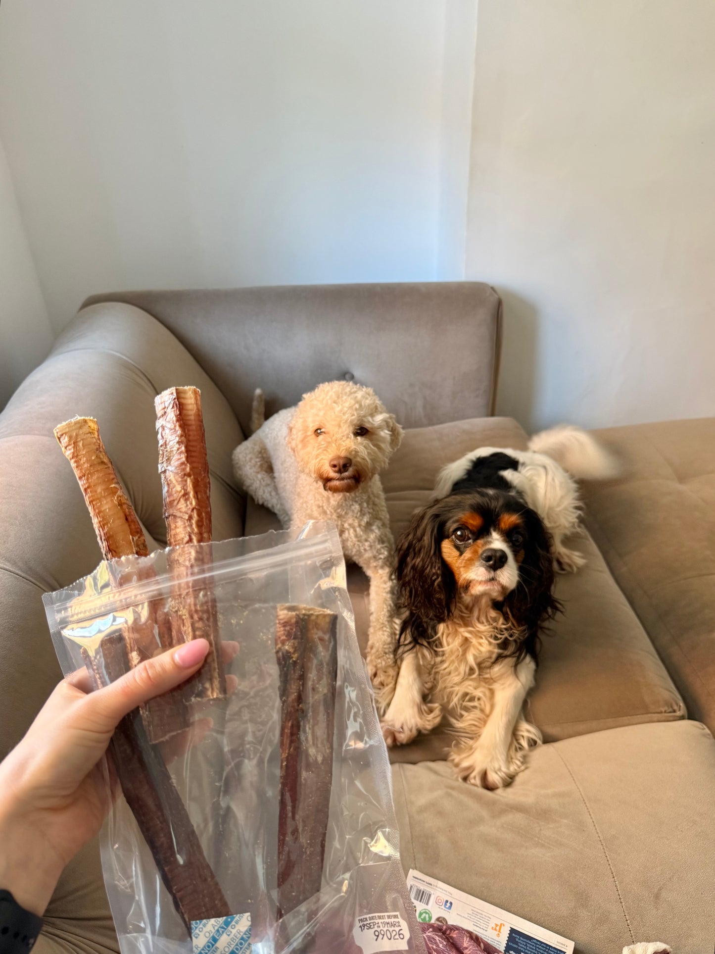 JR Pet Products Ostrich Straws