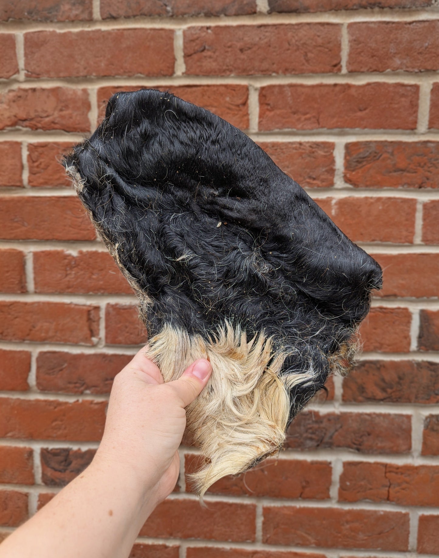 Hairy Beef Bark