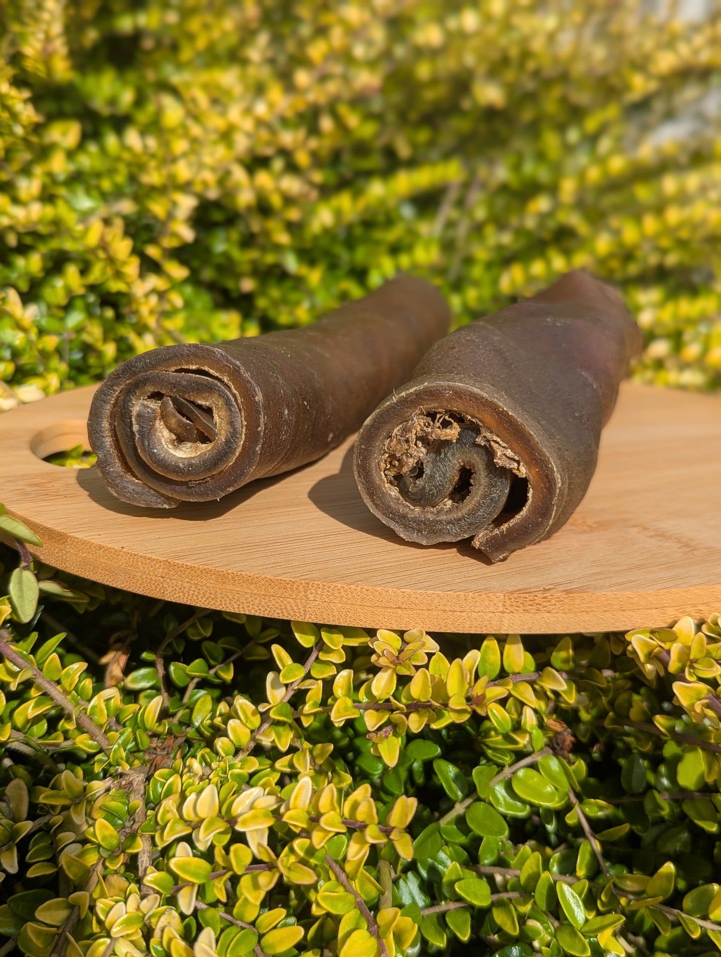 Jumbo Camel Rolls