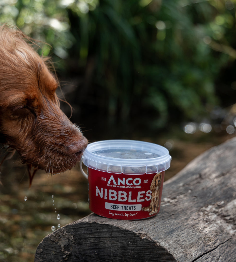 Anco Nibbles - Beef Training Treats