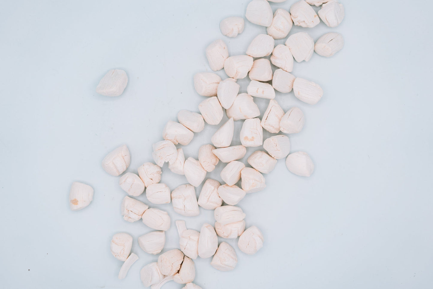 Freeze Dried Scallops