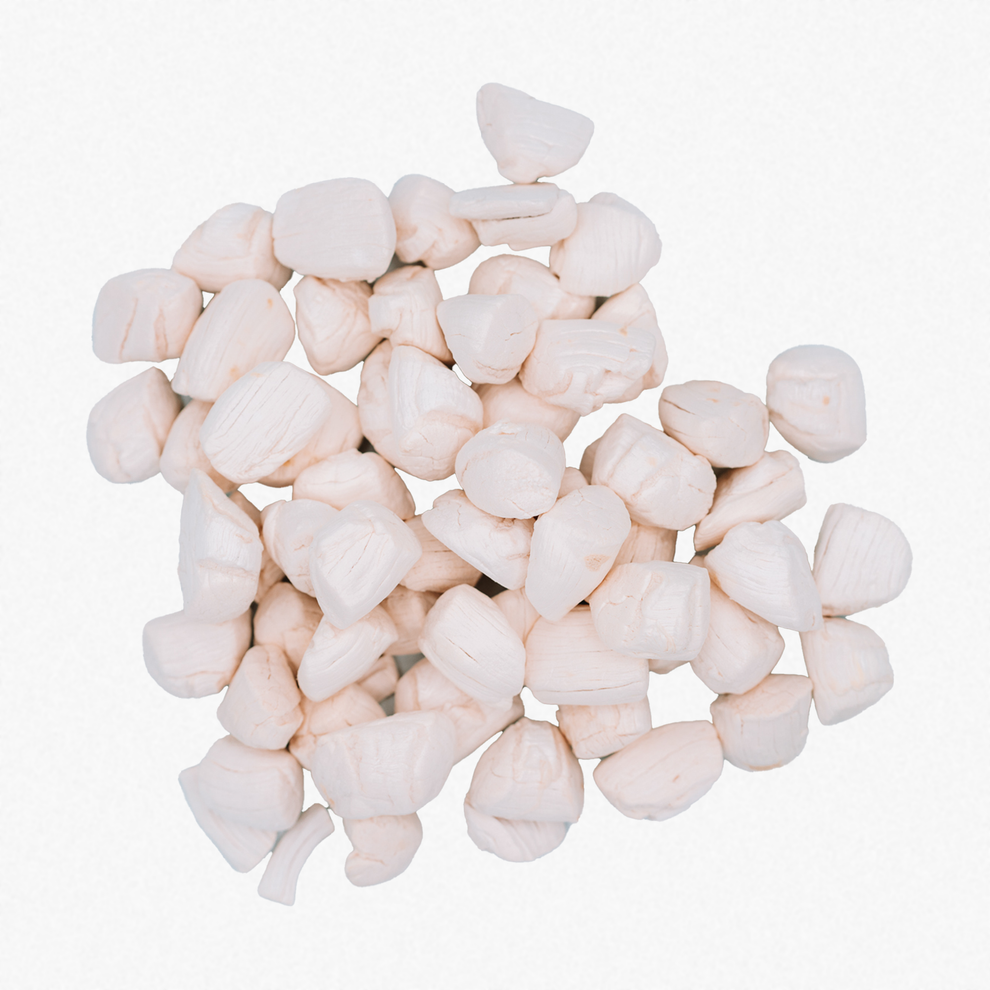 Freeze Dried Scallops