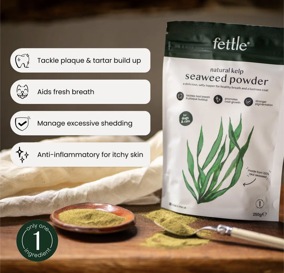 Fettle Seaweed Powder