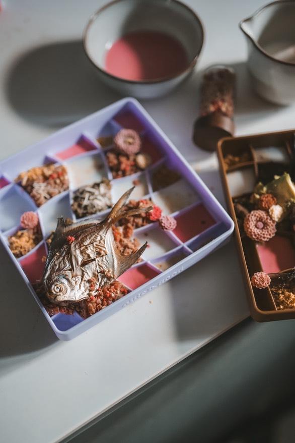 Feeding For Longevity: Rethinking What We Feed Our Dogs