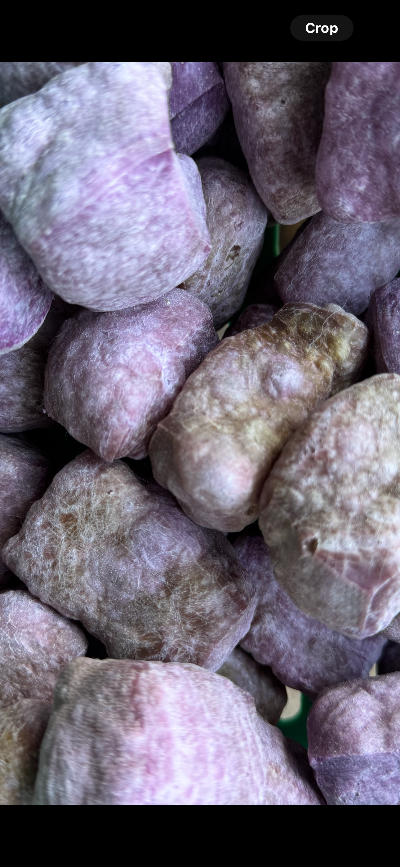 Large Yak Puffs | 9 Flavours