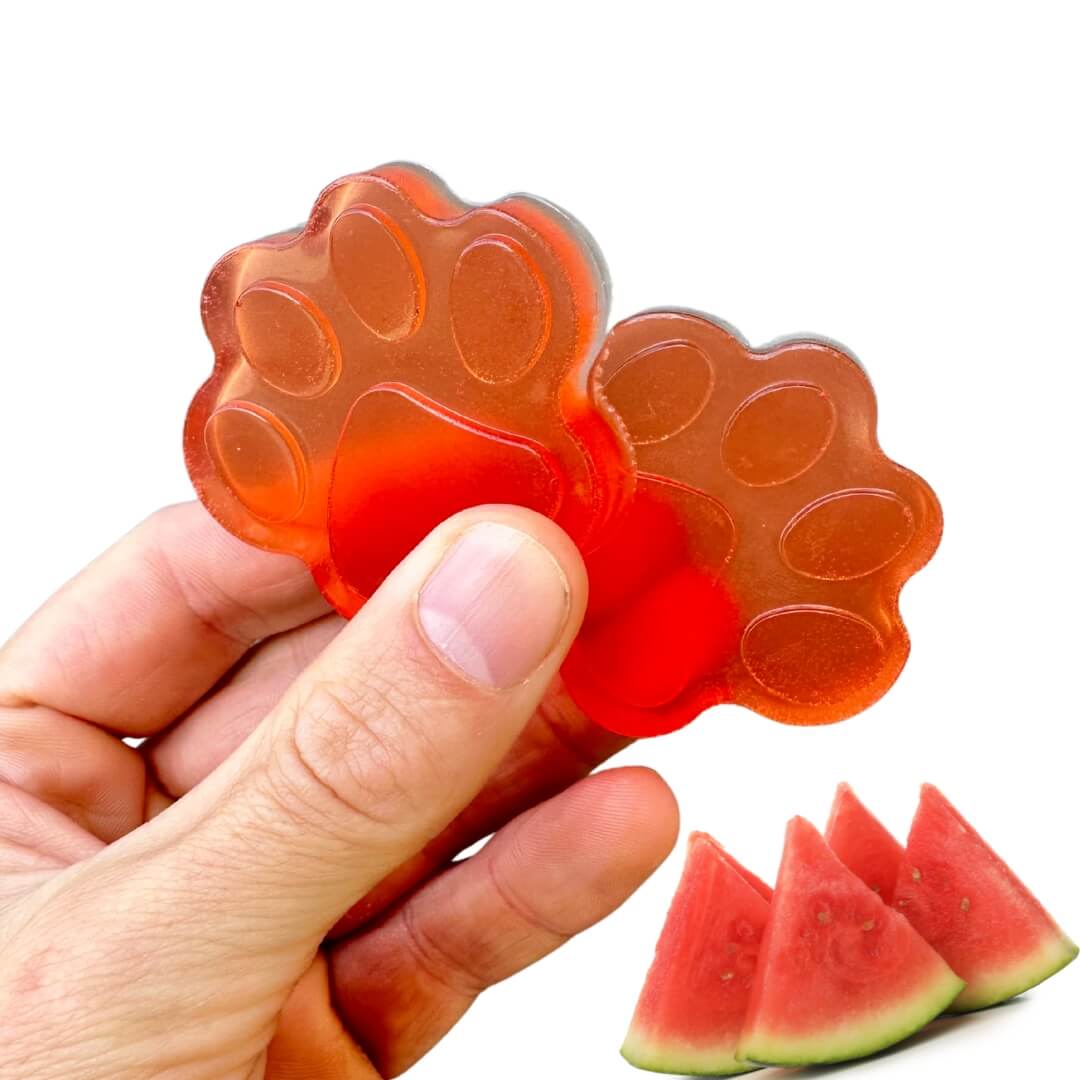 Watermelon Superfood Jelly For Dogs