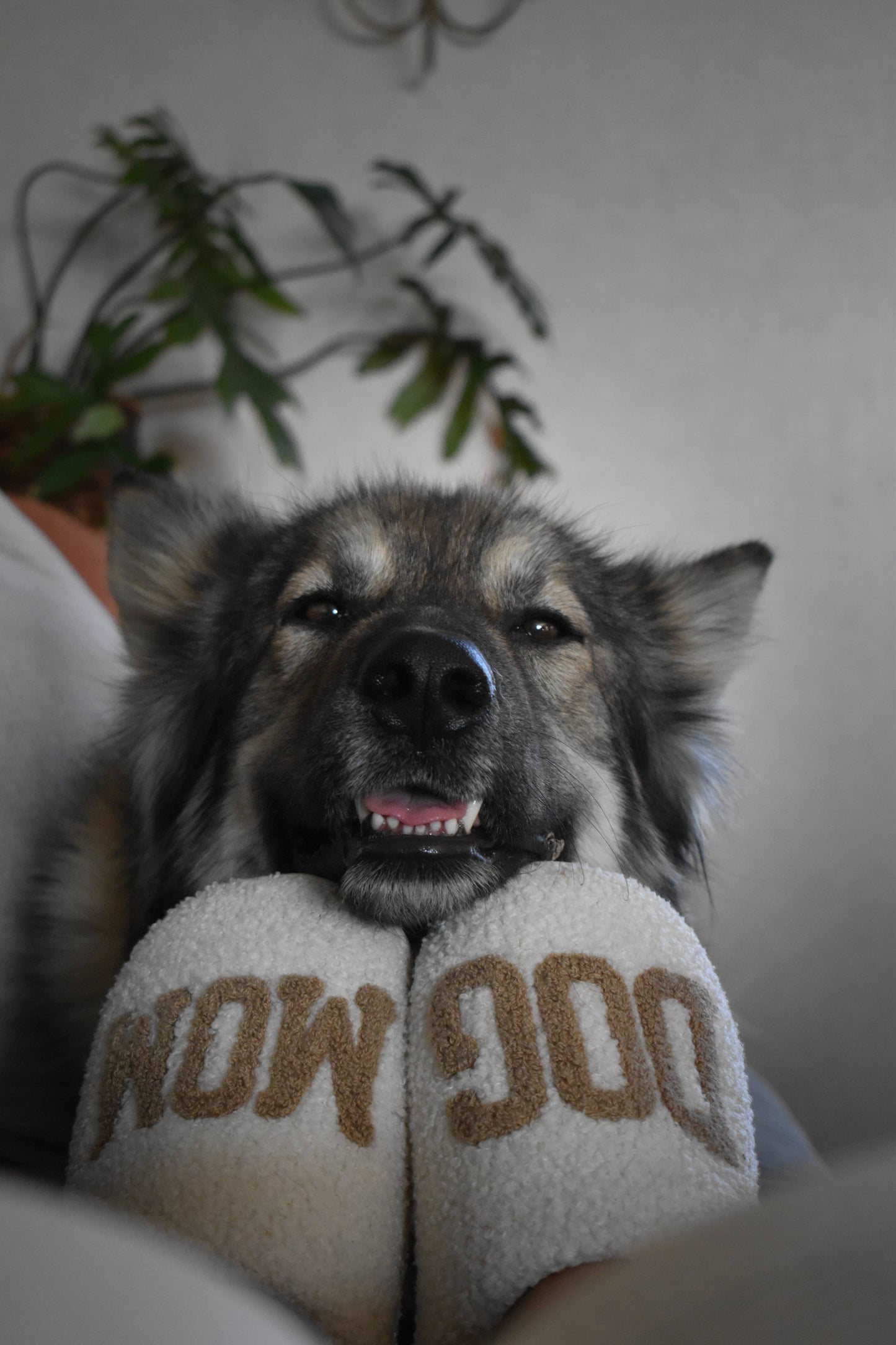 Dog Mom Slippers - TAUPE