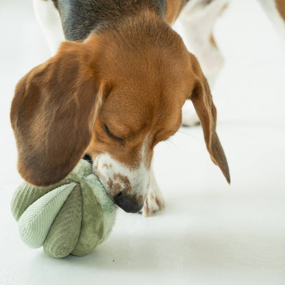 Lambwolf Toto Enrichment Dog Toy | Silent Snuffle Ball