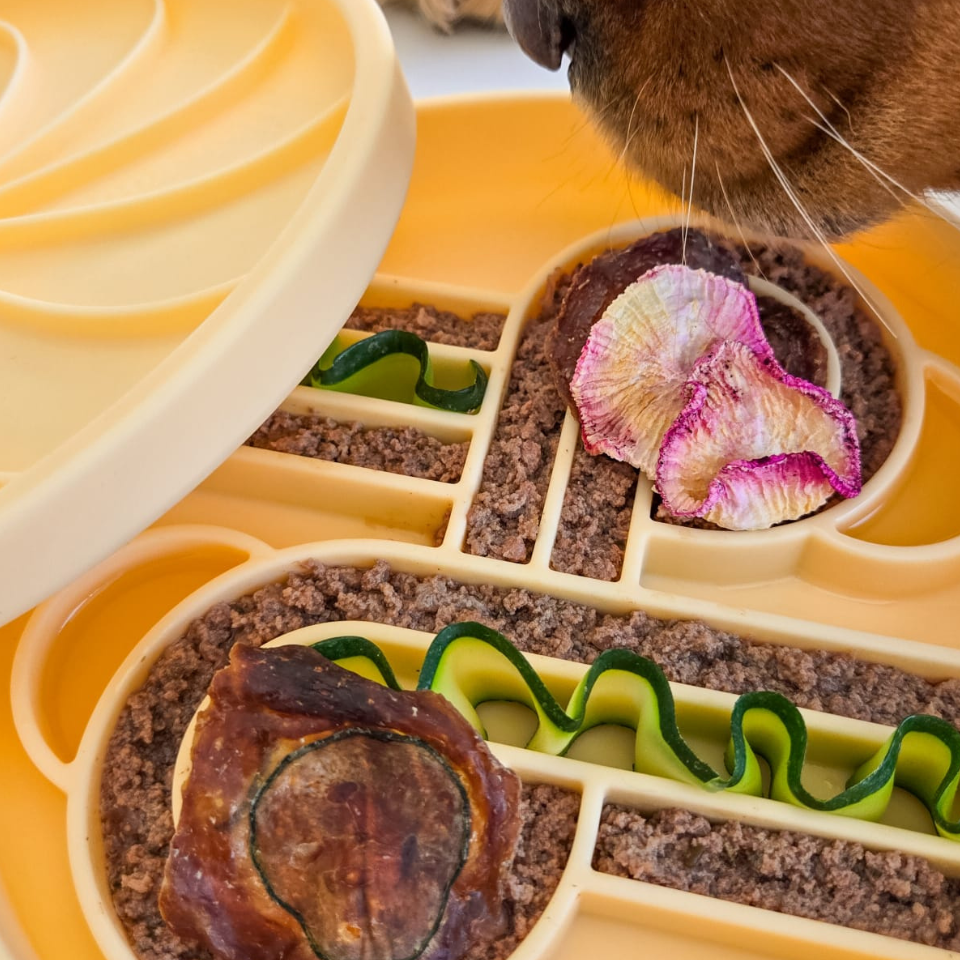 Ollie B. Good Wheelies Lick Mat & Lid | Clementine| Enrichment Mat For Pets