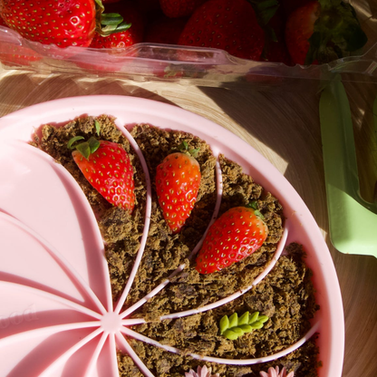 Ollie B. Good Wheelies Lick Mat & Lid | Strawberry | Enrichment Mat For Pets