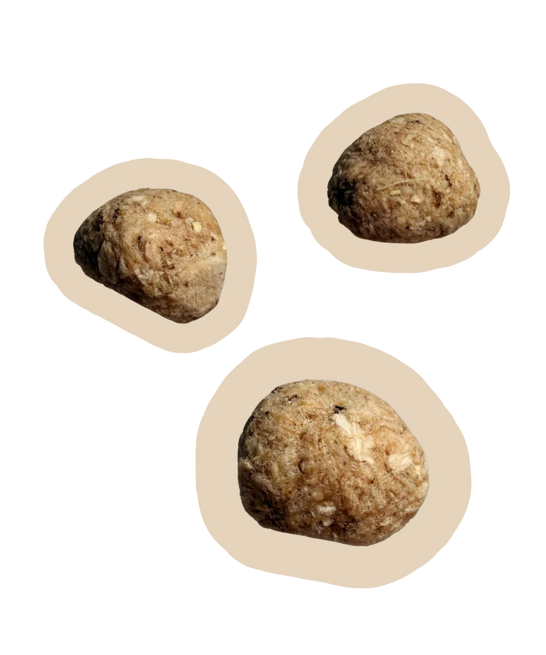 Beast Buddy Beef & Mushroom Balls