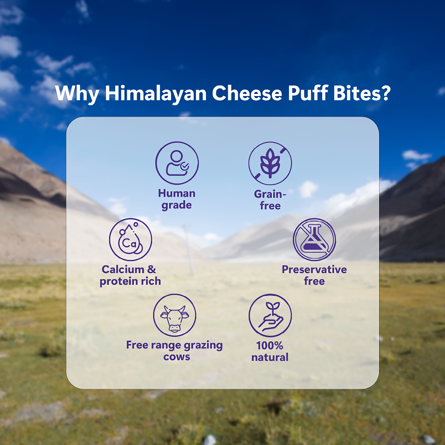 Himalayan Cheese Puff Bites | Natural Dog Treats