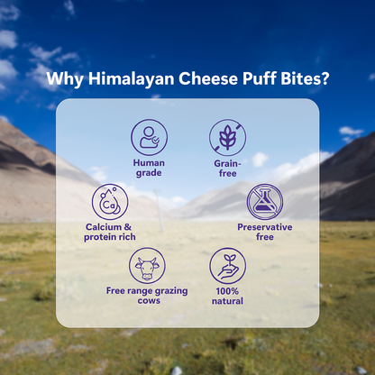 Himalayan Cheese Puff Bites | Natural Dog Treats
