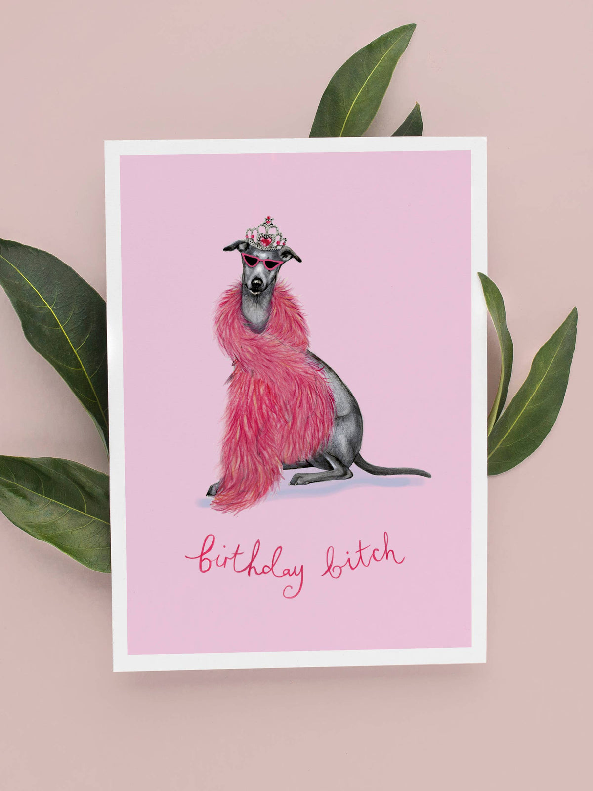 Quirky Whippet Birthday Card By Beth Goodwin Designs