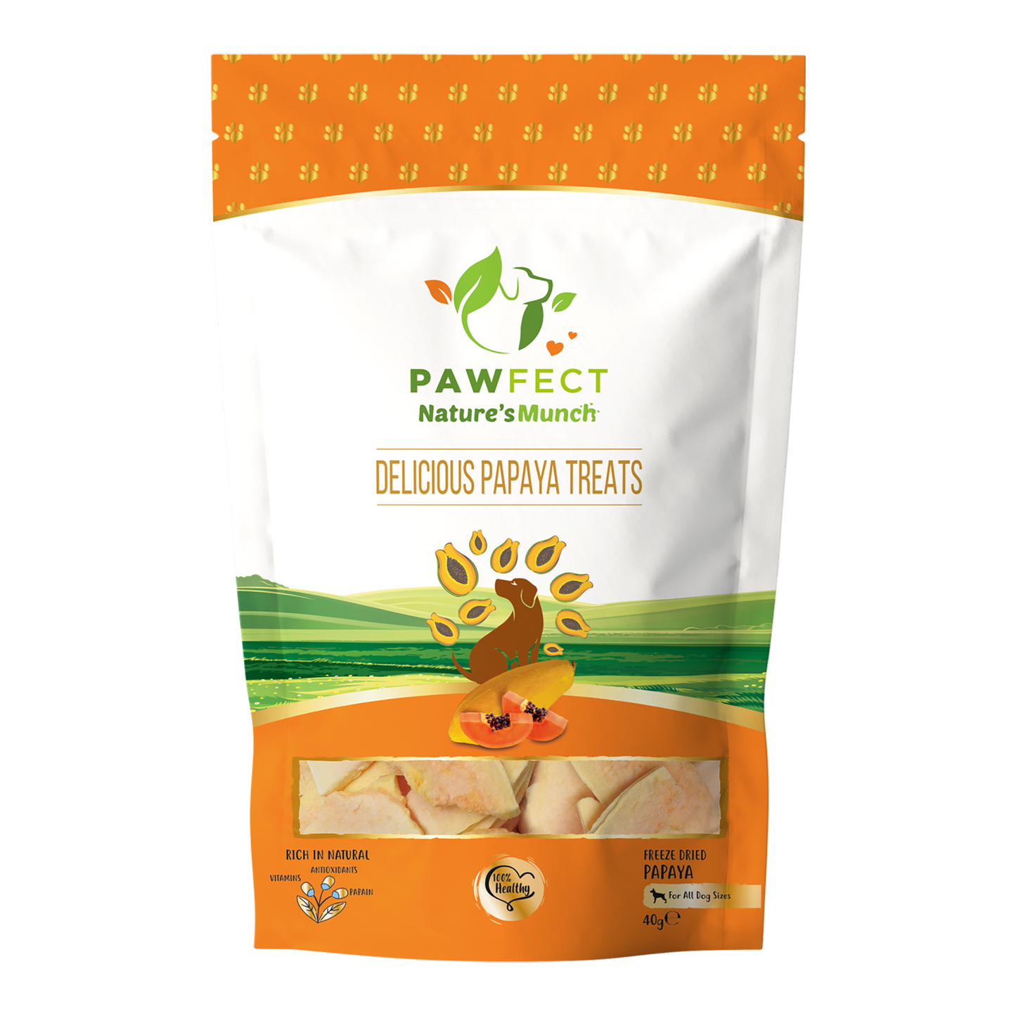 Freeze Dried Papaya | Plant Based Dog Treats