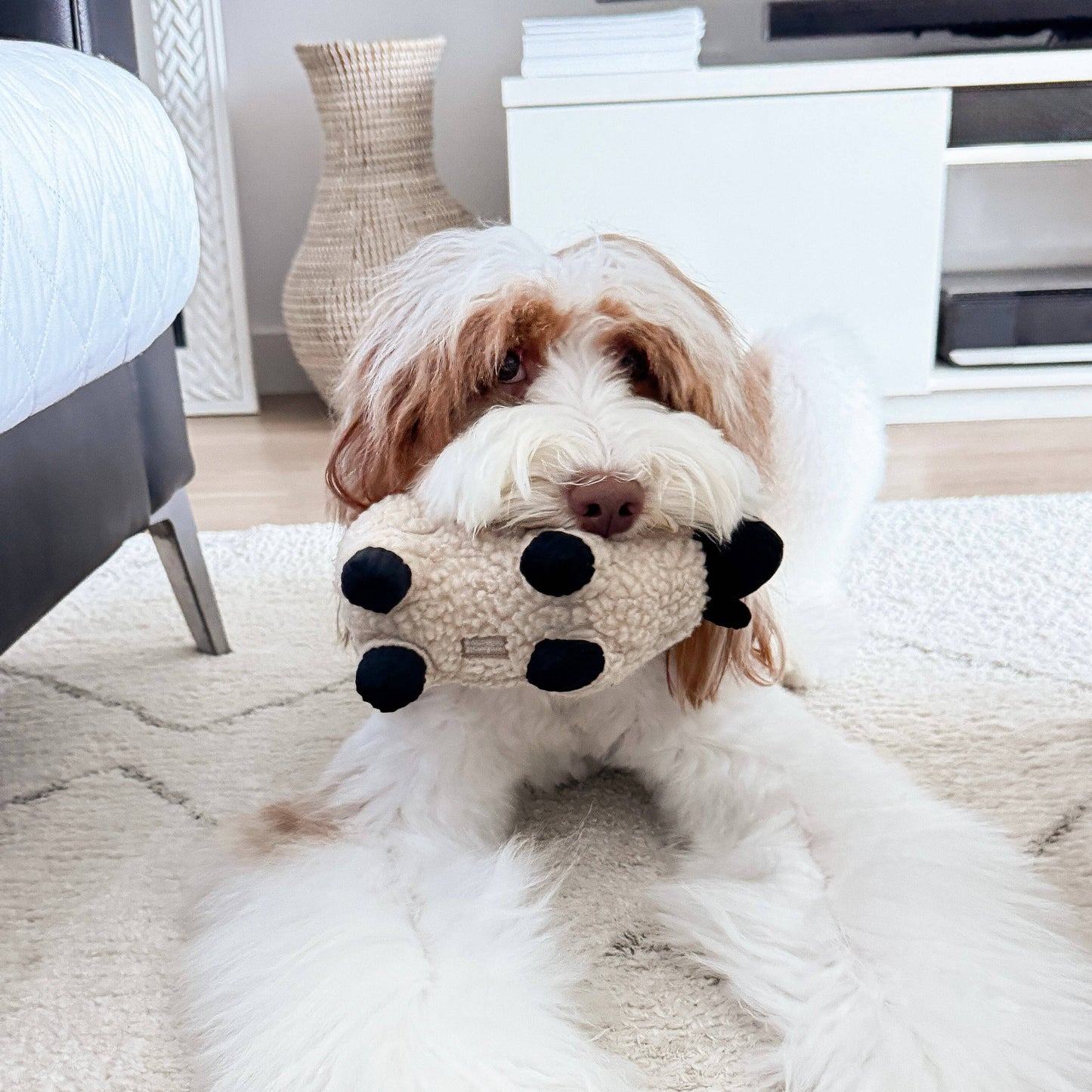 Lambwolf Dolly Sheep | Squeaker + Cuddle Dog Toy