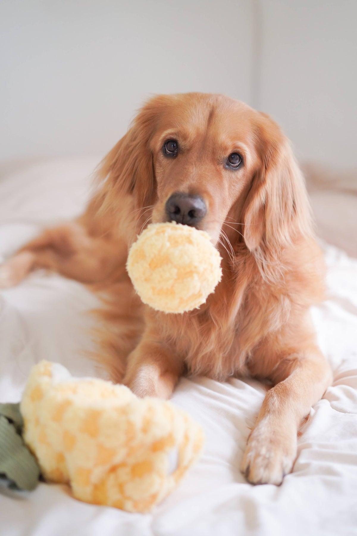Lambwolf Pineapple Pop Enrichment Dog Toy | Squeaky + Snuffle Toy