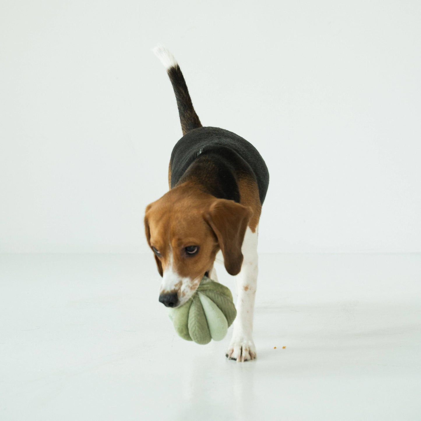 Lambwolf Toto Enrichment Dog Toy | Silent Snuffle Ball