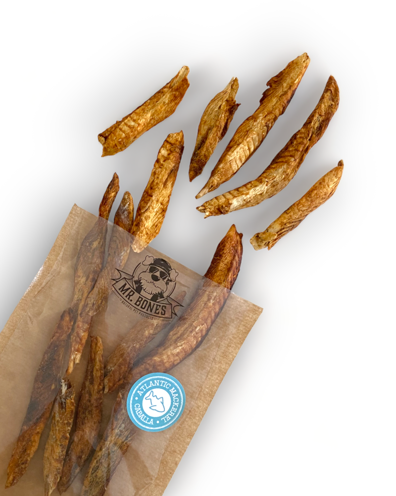 Atlantic mackerel fillets - Natural snack for dogs