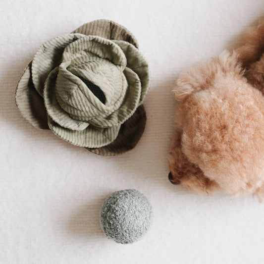 Lambwolf Cabbage Pop Enrichment Dog Toy | Squeaky + Snuffle Ball