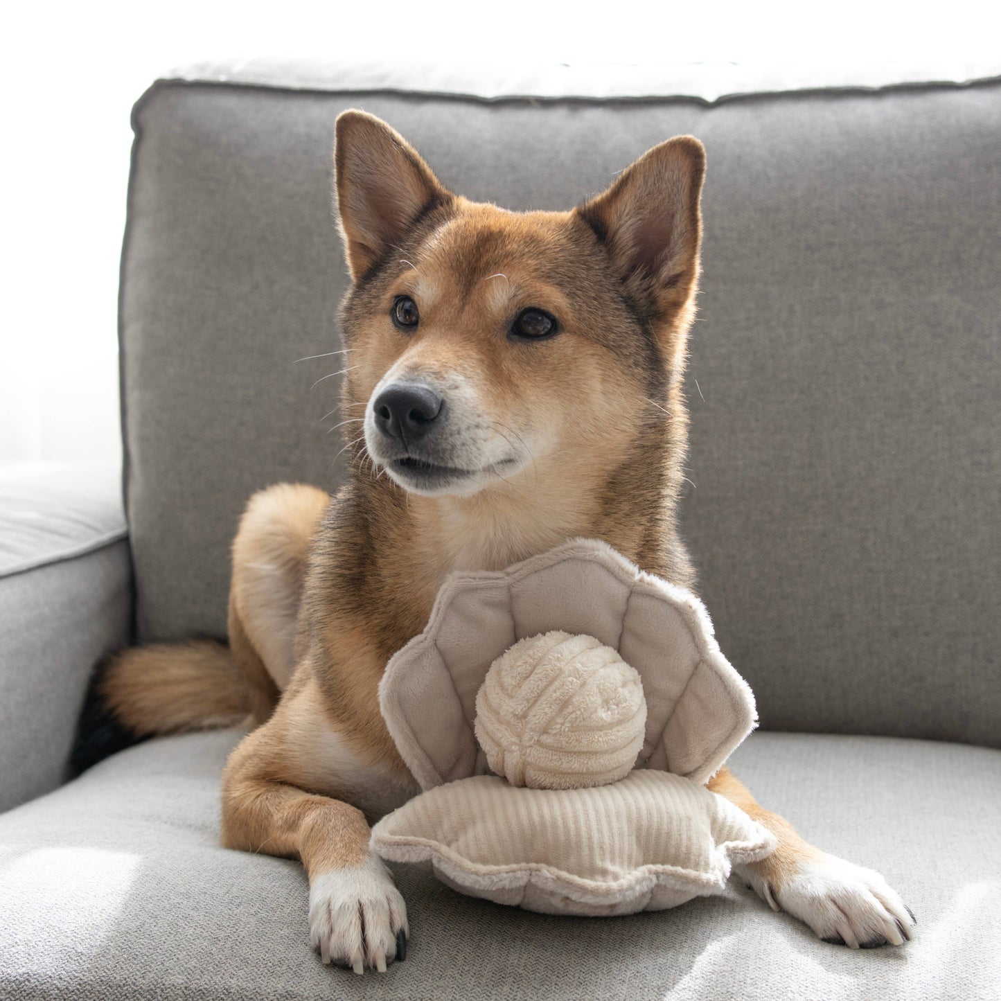 Lambwolf Oyster POP | Enrichment Dog Toy With Squeaky Ball