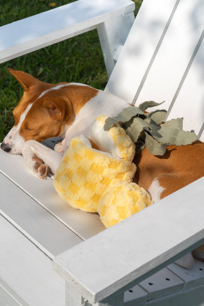 Lambwolf Pineapple Pop Enrichment Dog Toy | Squeaky + Snuffle Toy
