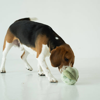 Lambwolf Toto Enrichment Dog Toy | Silent Snuffle Ball